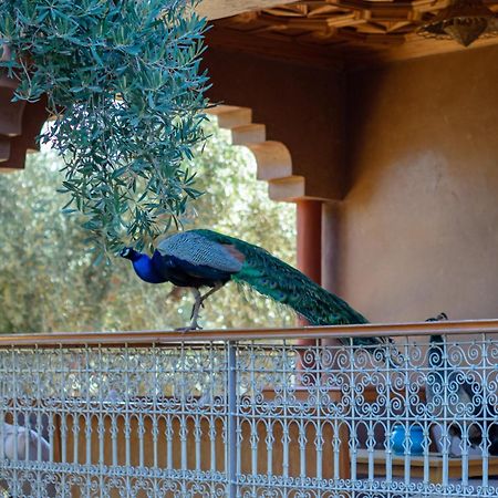 Вилла Ferme Sidi Safou & Spa Марракеш Экстерьер фото