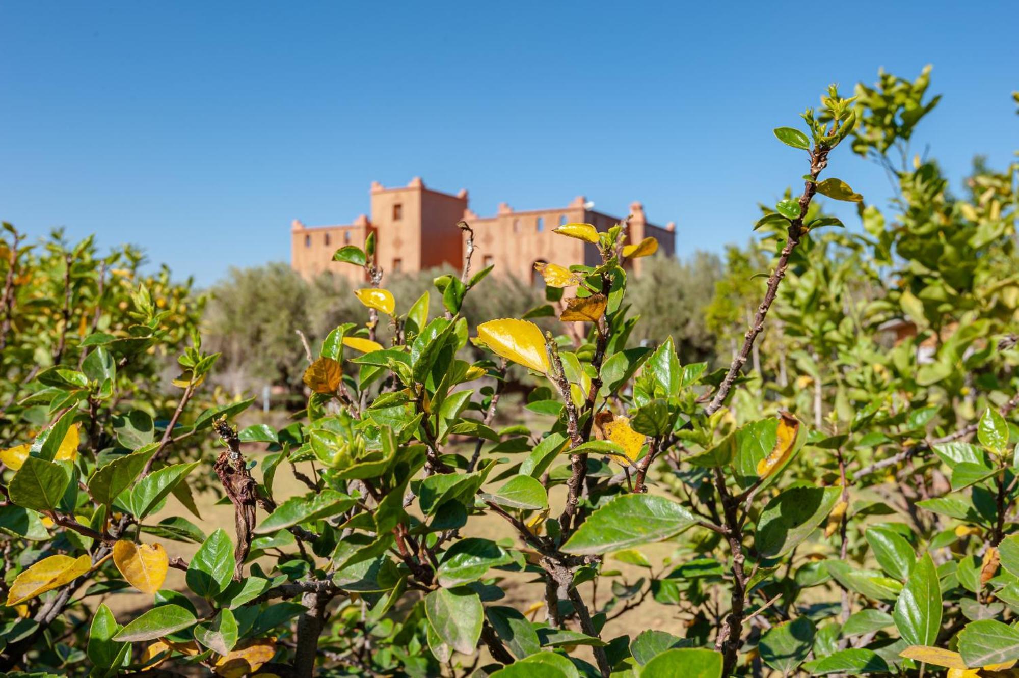 Вилла Ferme Sidi Safou & Spa Марракеш Экстерьер фото