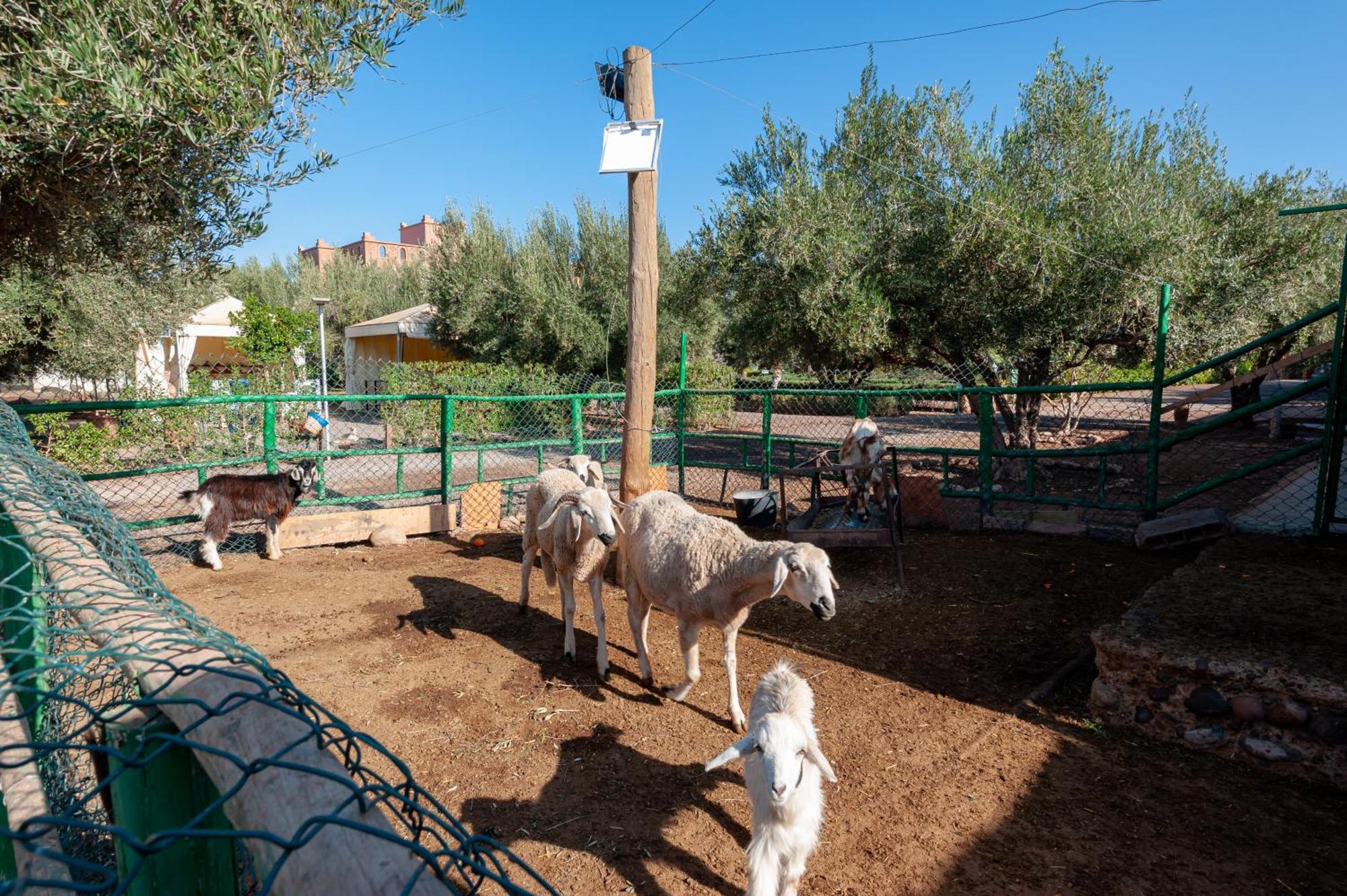 Вилла Ferme Sidi Safou & Spa Марракеш Экстерьер фото