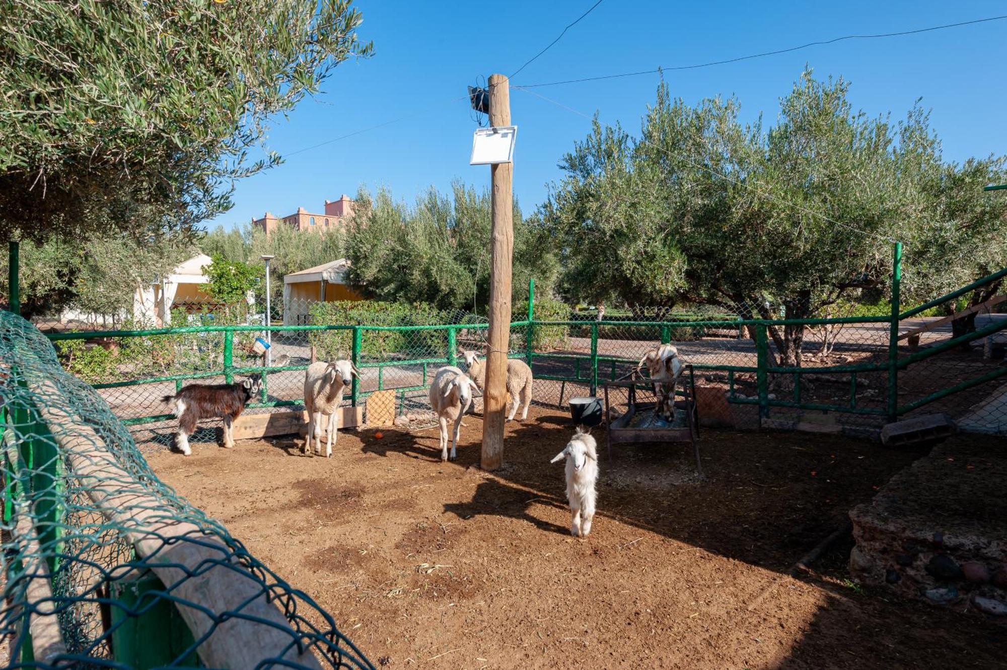 Ferme Sidi Safou & Spa Марракеш Экстерьер фото
