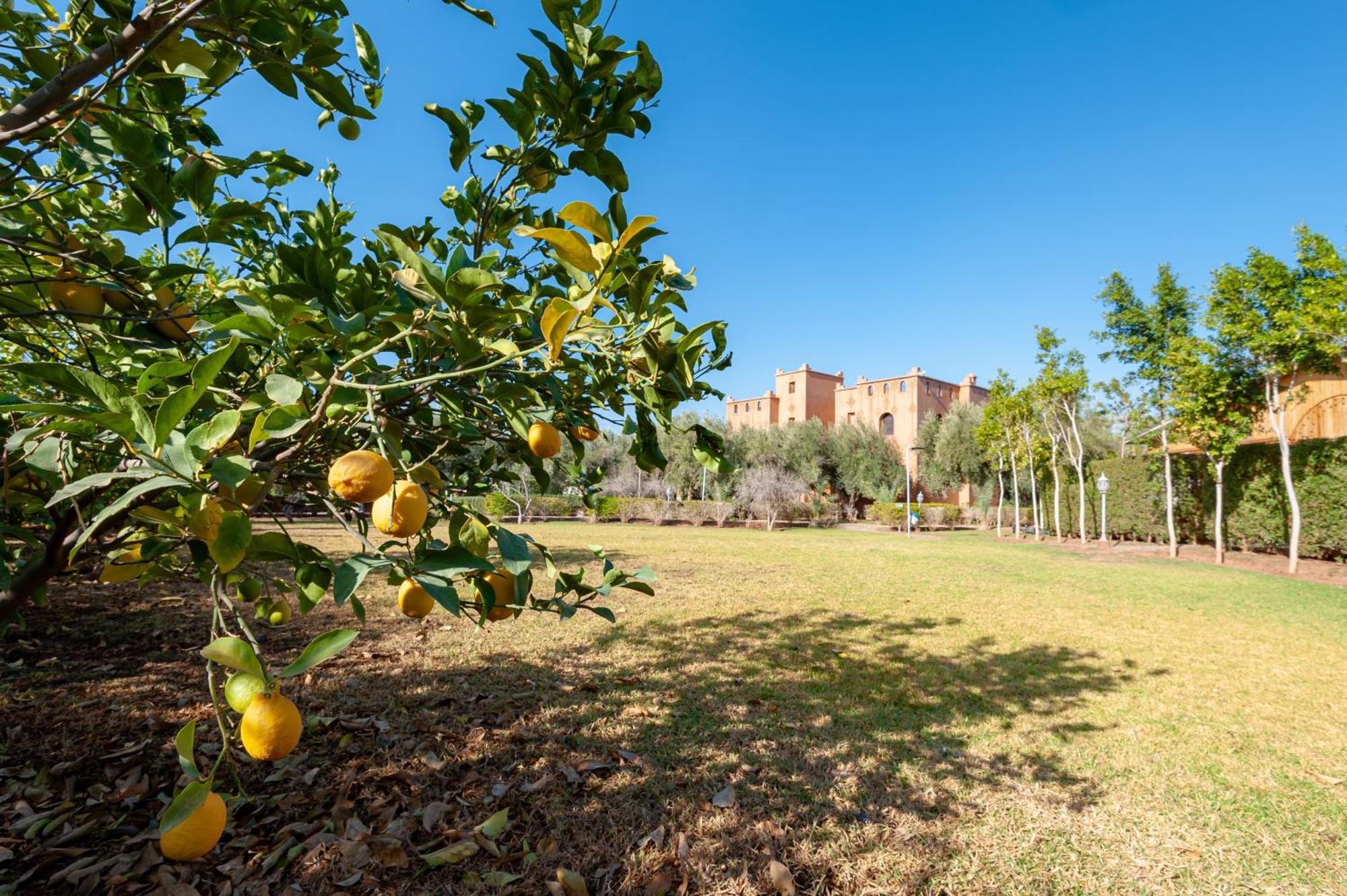 Вилла Ferme Sidi Safou & Spa Марракеш Экстерьер фото