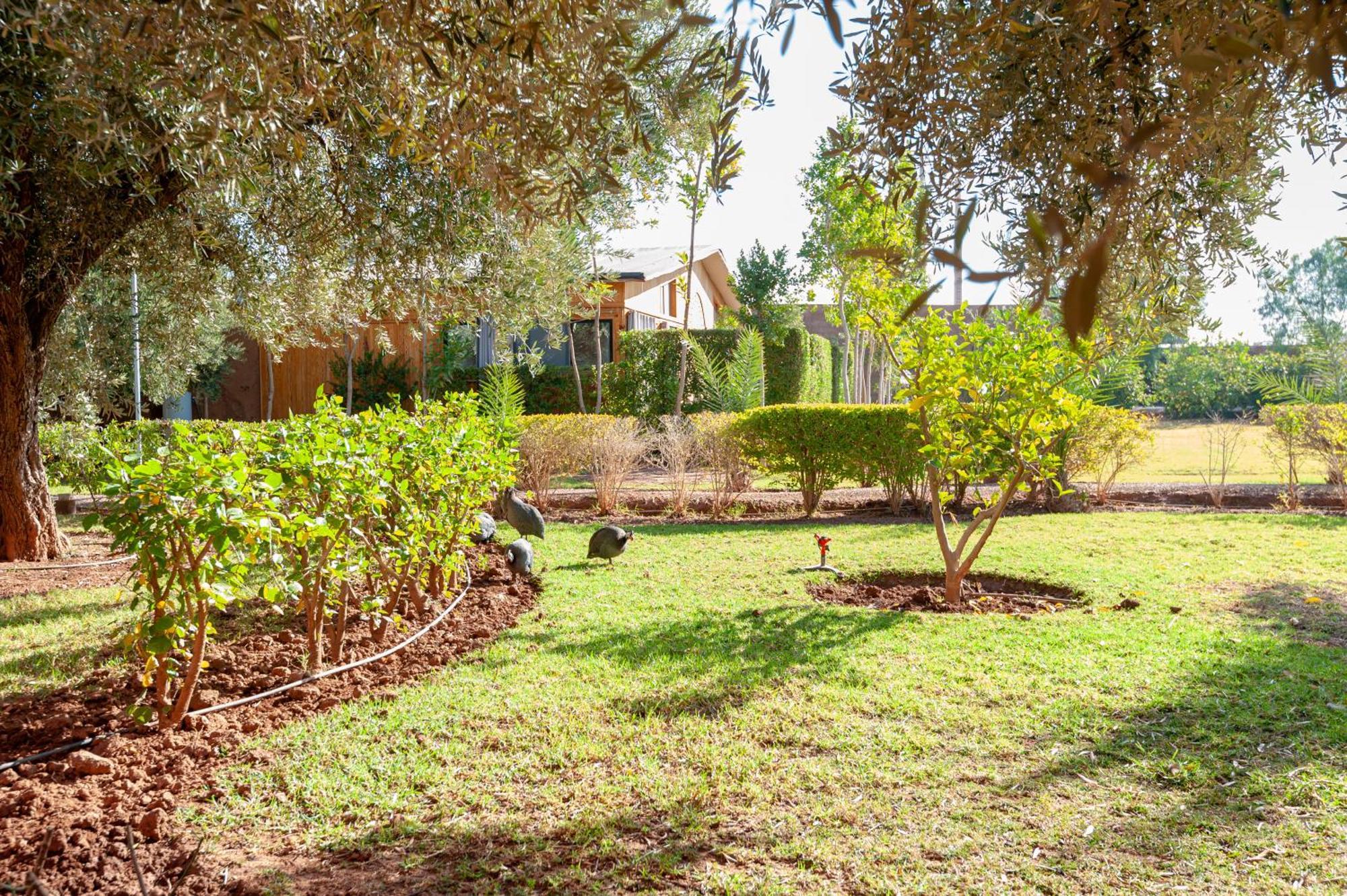 Ferme Sidi Safou & Spa Марракеш Экстерьер фото