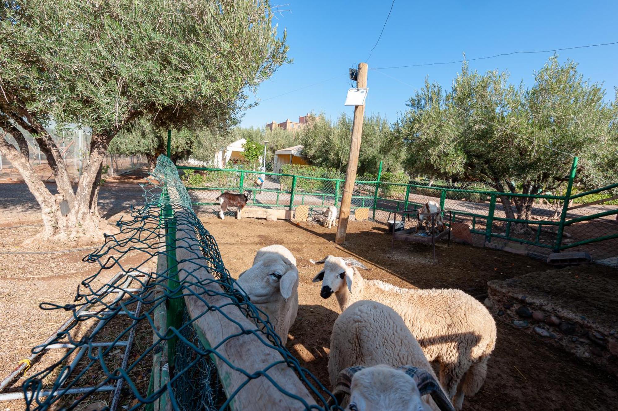 Вилла Ferme Sidi Safou & Spa Марракеш Экстерьер фото